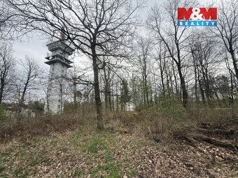 Nabízíme k prodeji lesní pozemek o výměře 3807 m2 v katastrá