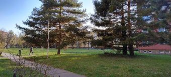 Pronájem bytu 3+1, 87 m², Prostějov, ul. Brněnská
Nabízíme k