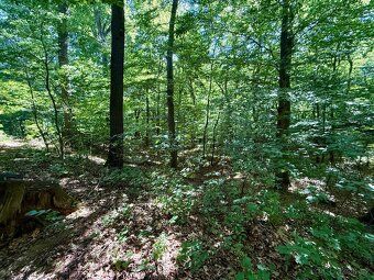 TEP-BYTY nabízí exkluzivně Prodej chaty 25 m², pozemek 521 m