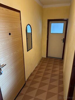 Byt je světlý, v posledním patře (žádní sousedé nad vámi), s