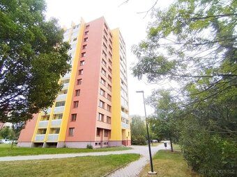 Máme pro vás pronájem zařízeného útulného bytu 1+kk/30 m2 se