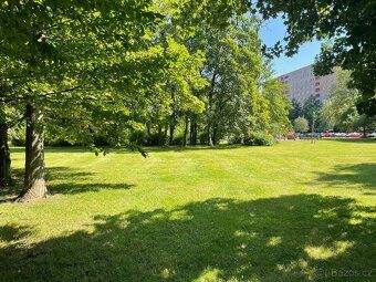 Nabízím dlouhodobý pronájem bytu 2+1, 55m2. Byt je čerstvě p