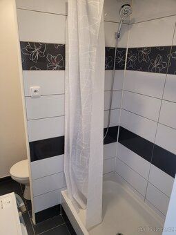 Nabízím k dlouhodobému pronájmu byt 1+kk o velikosti 25 m², 