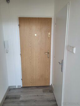 Nabízím k dlouhodobému pronájmu byt 1+kk o velikosti 25 m², 