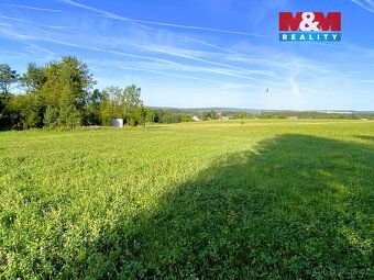 Nabízíme k prodeji pozemek o rozloze 11 513 m² (louka-trvalý