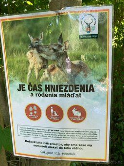 Prodám pozemky (dědictvo) na Slovensku-50km od hranic-v krás