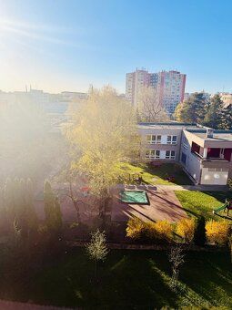 Nabízím k prodeji byt v osobním vlastnictví o dispozici 1+1 