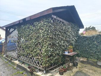 Nabízíme ke koupi prostorný byt o dispozici 3+1 v obci Králo