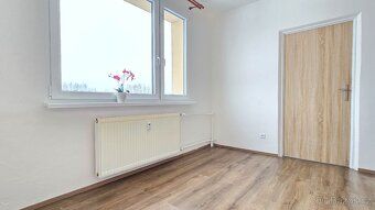 PRONÁJEM BEZ PROVIZE K dlouhodobému pronájmu nabízím světlý 