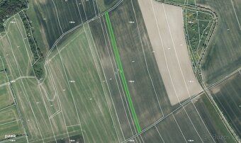 Nabízíme k prodeji zemědělské pozemky v k.ú. Lipenec, LV 247