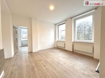 Služby 3900 Kč / měsíc ( detailní rozpis na vyžádání), Dumre