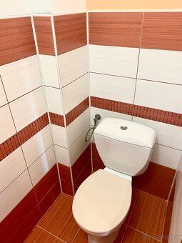 Pronájem bytu 1+1, 46 m²
Nabízím k pronájmu byt o dispozici 