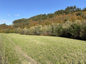 K prodeji nabízíme rozlehlý pozemek o výměře 4 762 m2 v klid