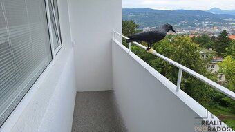 Zprostředkujeme Vám k pronájmu krásně zrekonstruovaný byt 1+