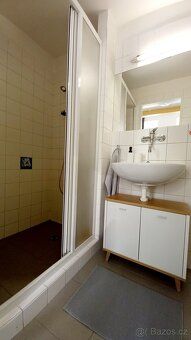 Nabízím k pronájmu útulný, čistý, klidný byt 1+kk, 18m2. Pok