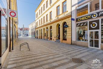 Nabízíme k pronájmu bytovou jednotku typu 3+kk o velikosti 6