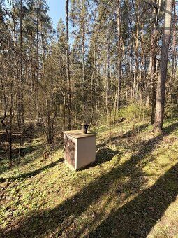 Ev.č. OB02826 Pro milovníky přírody a samoty, nabízíme velmi