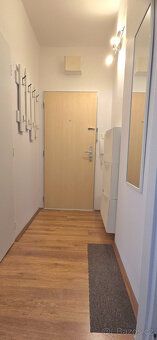 Nabízím k pronájmu útulný byt 1+kk (25 m²) ve zvýšeném příze