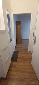 Nabízím k pronájmu útulný byt 1+kk (25 m²) ve zvýšeném příze