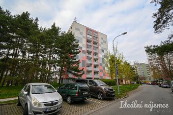 K dlouhodobému podnájmu nabízíme byt o dispozici 1+kk v oblí