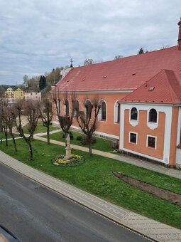 Dobrý den pronajmu byt v Nejdku přímo na náměstí. Byt je čás
