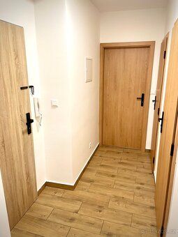 Pronájem světlého bytu 2+1 s balkonem po rekonstrukci, 52 m²