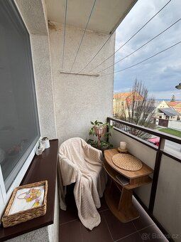 Nabízím k pronájmu hezký, světlý, udržovaný, částečně vybave