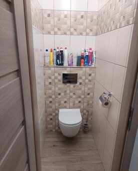 Pronajmu byt v osobním vlastnictví o výměře 60m2 který se na