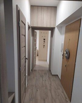 Pronajmu byt v osobním vlastnictví o výměře 60m2 který se na