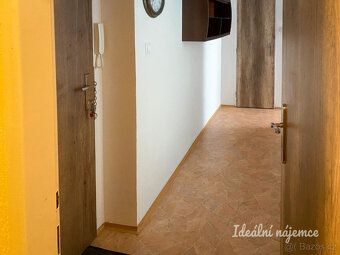 K dlouhodobému podnájmu nabízíme příjemný byt o dispozici 1+