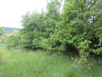 NA PRODEJ - pozemky o celkové výměře 2.006 m2, které se nach