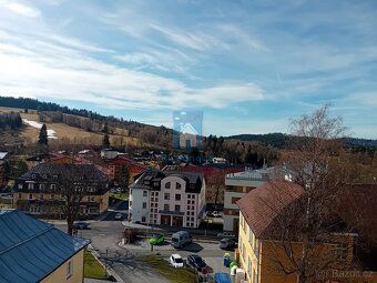 Nabízíme k pronájmu krásný a zařízený apartmán o velikosti 1
