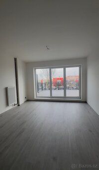 Nabízím pronájem 2+kk+terasa(35m2) o velikosti 48m2, v novos