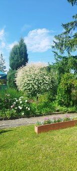 🌿Nabízím k prodeji udržovanou zahradu s chatkou v klidné a v