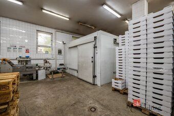 Prodej, komerční/výroba, 6551 m2, Pod Továrnou 587, 33151 Ka