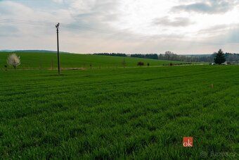 Prodej, pozemky/bydlení, 945 m2, Čermná, Domažlice [ID 84410