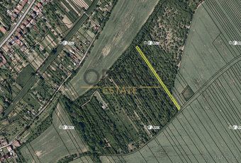 Nabízíme k prodeji pozemky v katastrálním území Březolupy o 