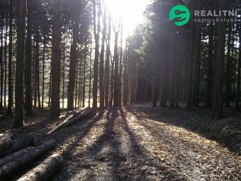 Prodám patrový dům. Patro 6+1 (penzion), místnost s krbovými