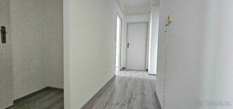 Nabízím k pronájmu světlý byt o dispozici 2+1 o celkové výmě