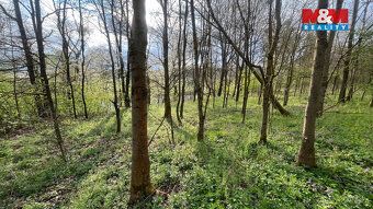 Nabízíme k prodeji pozemek, o výměře 5135 m², v katastrálním