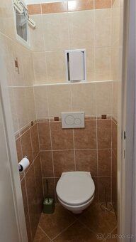 Nabízím k pronájmu tichý a čistý byt 1+1 o velikosti 41 m² v