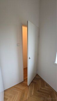 Nabízím k pronájmu tichý a čistý byt 1+1 o velikosti 41 m² v