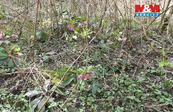 Prodej pozemku o výměře 1439 m2 v obci Králův Dvůr, ulice Ju