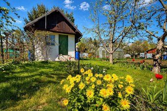 Ev.č. 01207 Nabízím k přenechání velmi pěknou a udržovanou z