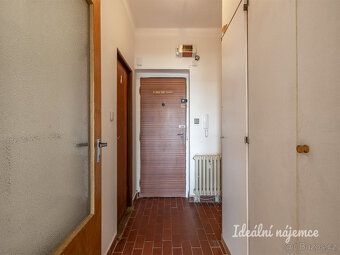 K dlouhodobému podnájmu nabízíme příjemný byt o dispozici 1+