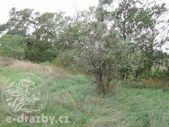 Ev.č. 212D5125AP Dne 29.04.2026 od 10:00 hod., se koná dražb