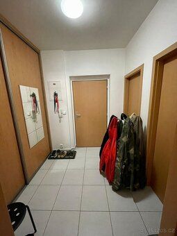 Nabízím k pronájmu útulný a prostorný byt 1+kk v cihlové bud