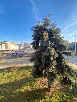 Nabízíme Vám k pronájmu moc pěkný, cihlový, plně vybavený by
