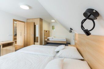 Nabízíme k prodeji zavedený a plně funkční butikový hotel Vi