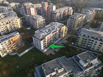 Pronajmu napřímo (neplatíte provizi realitce) krásný, slunný